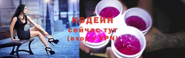 mix Бородино